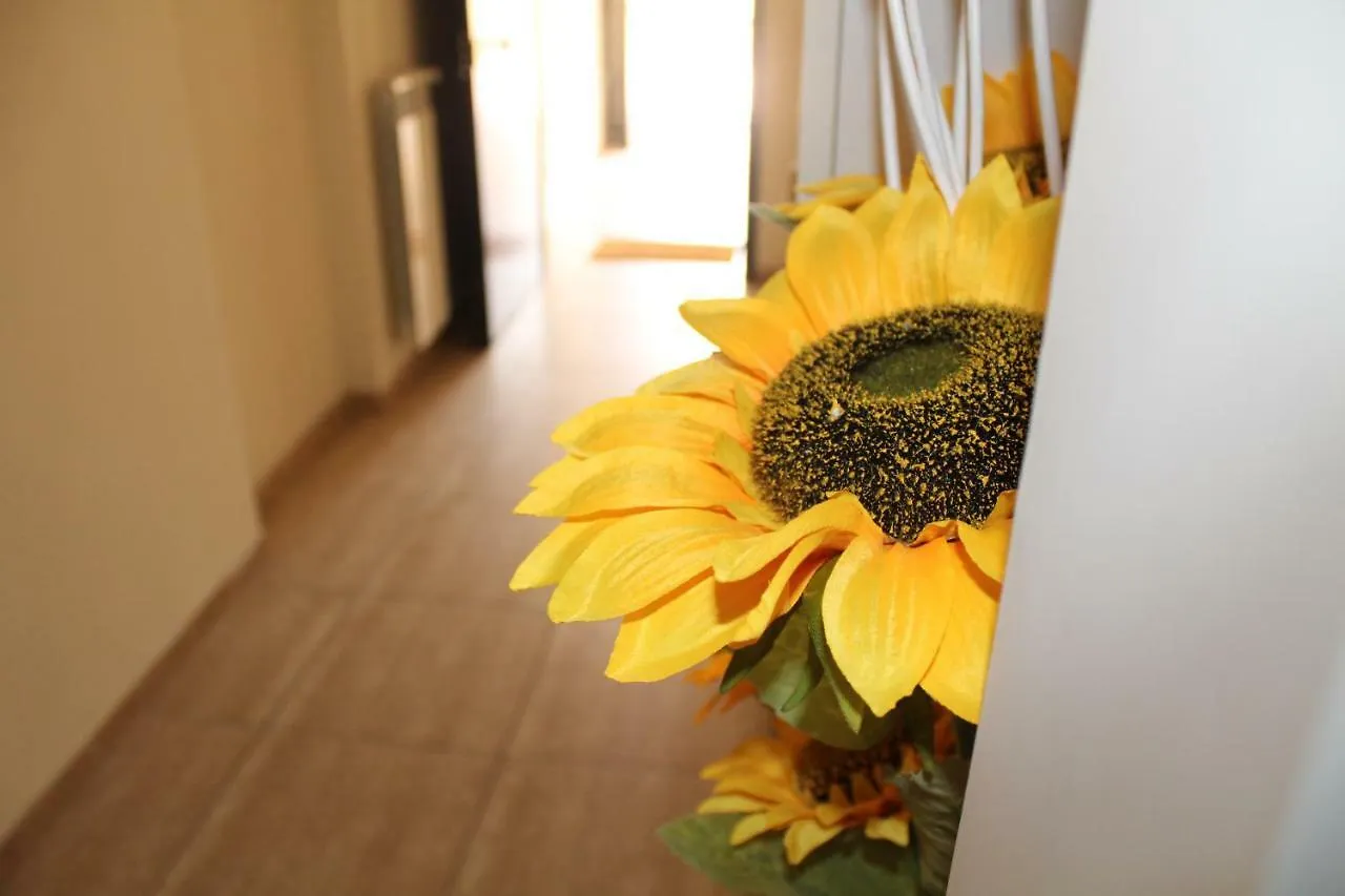 Apartment L'Occhio Sul Vesuvio Appartamento Con Terrazza Privata E Casa Vacanza Senza Terrazza Privata Naples Italy